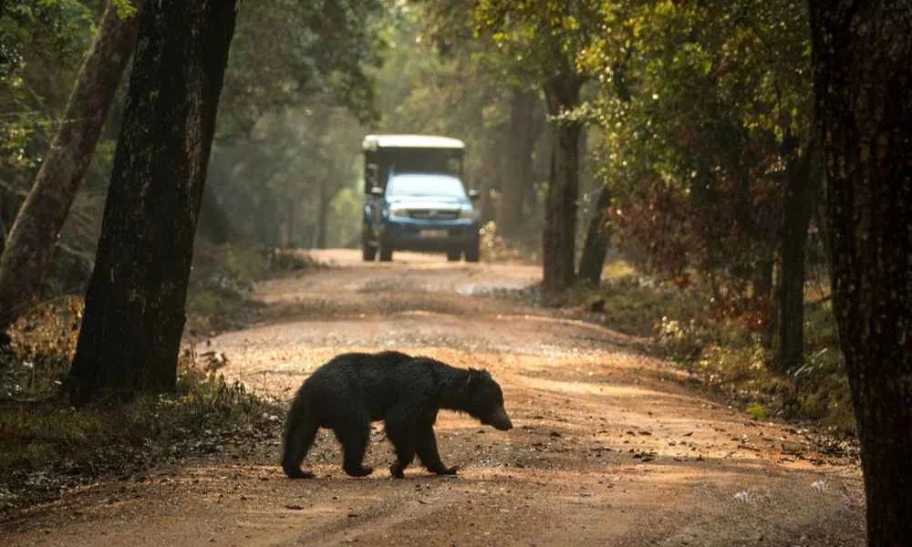 Wilpattu National Park