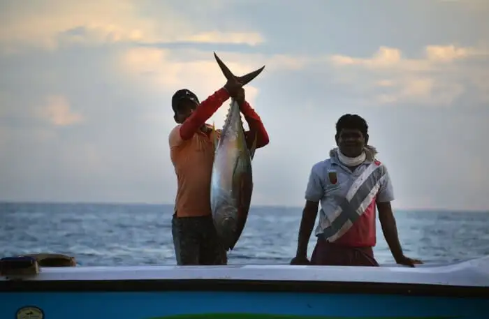 beruwala Fishing Village Wadiya