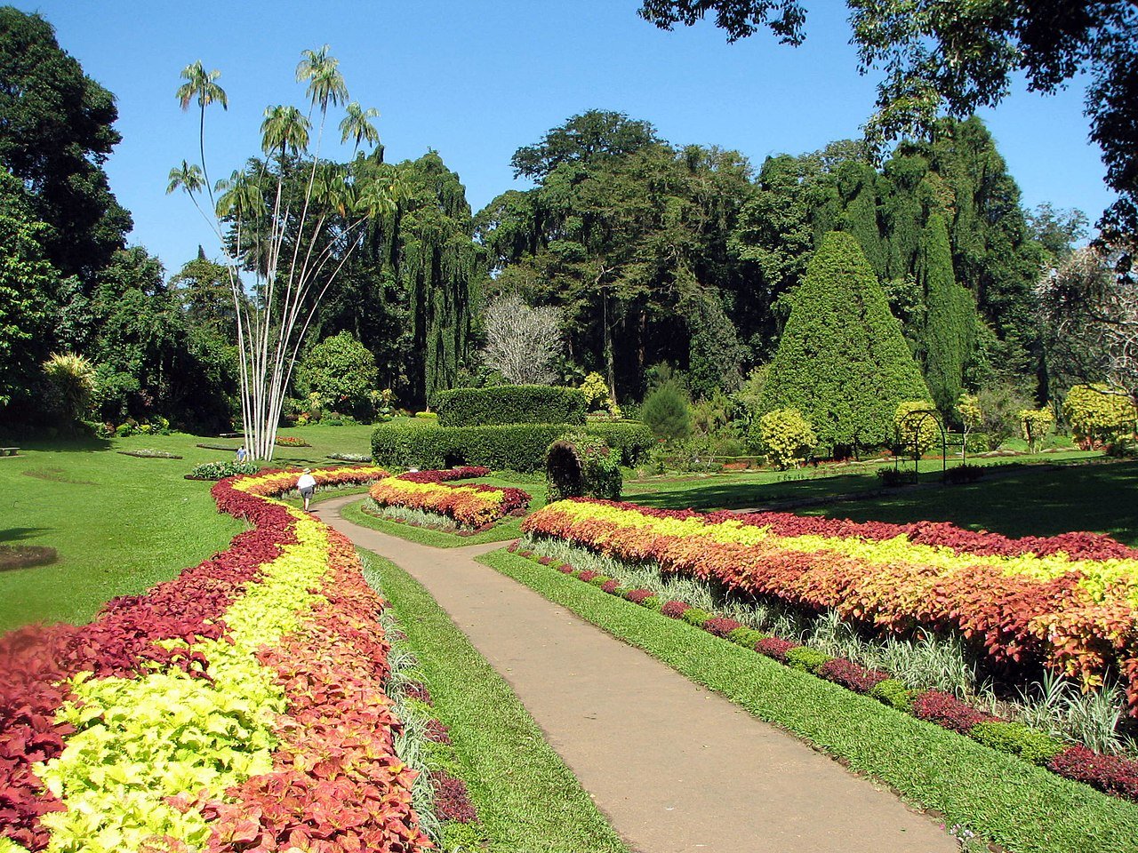 kandy Botanical Garden of Peradeniya 03