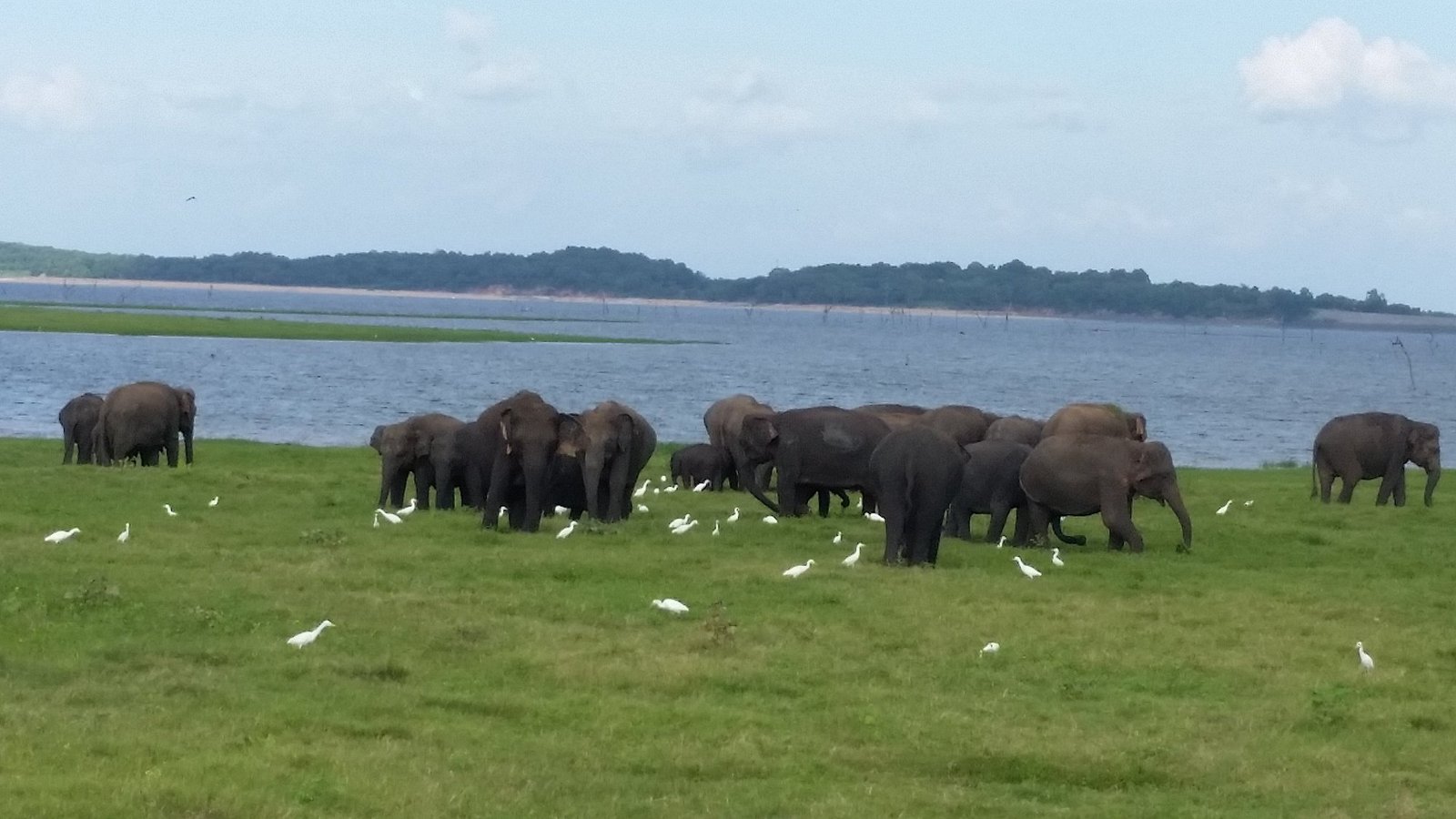 Kaudulla National Park